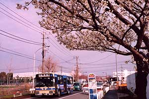 新浜橋