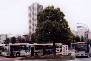 鶴ヶ峰駅