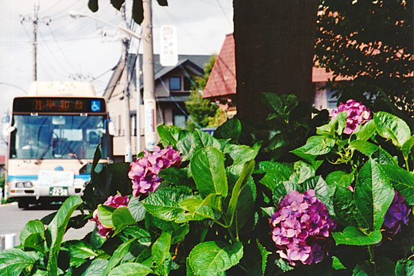 ２００９年６月２０日　神奈川県横浜市保土ヶ谷区