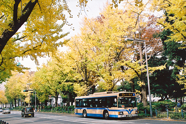 ２０１１年１１月２７日　神奈川県横浜市中区