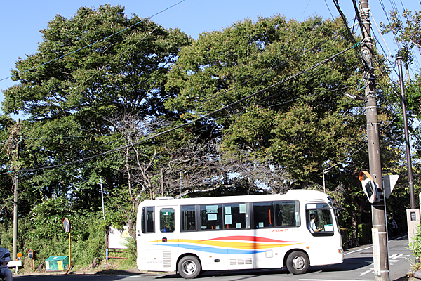 2025年10月17日撮影 神奈川県鎌倉市 2025年10月17日撮影 神奈川県鎌倉市