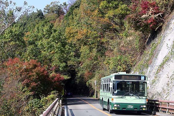 ２０２３年１１月１５日撮影　大阪府千早赤阪村