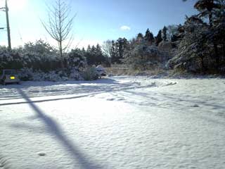 快晴です。日中、だいぶ雪が解けそうです。