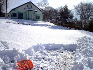 いい加減、エンジンの付いた除雪機を検討したい。