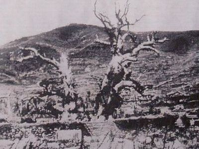 �Ă�������C