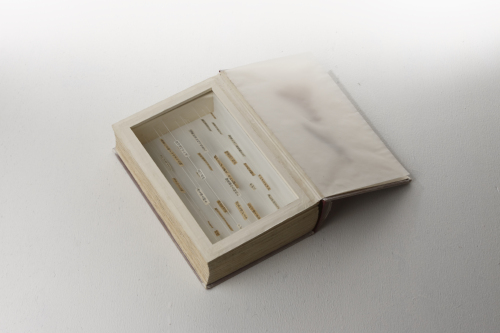 撮影　河野俊之