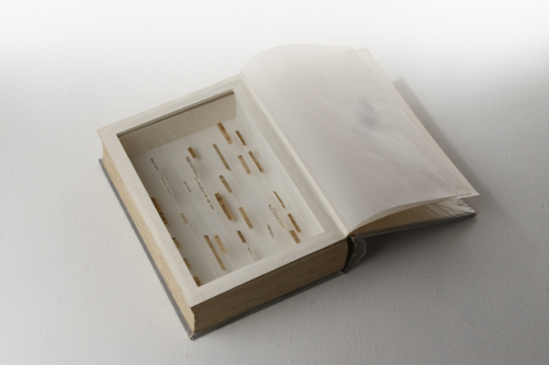 撮影　河野俊之