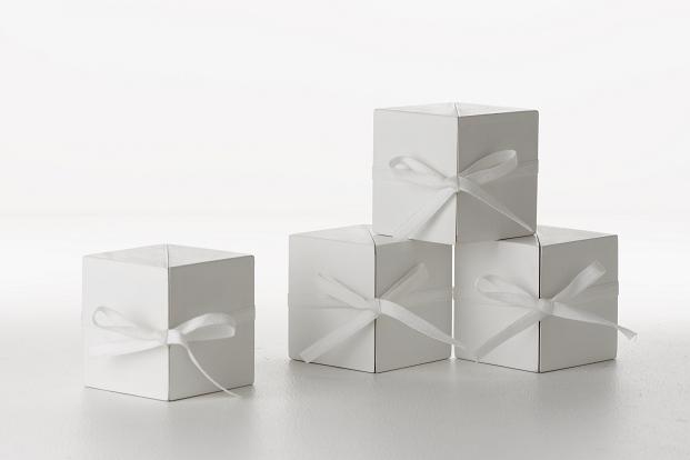 撮影　河野俊之