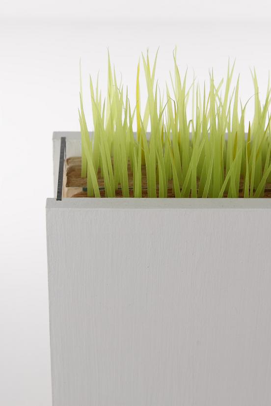 撮影　河野俊之