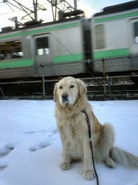 �b��w���D���B�i�D�y�s�������d�ԁj