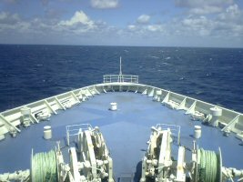 �V���{�C�t�F���[�ŐV�́u�͂܂Ȃ��v