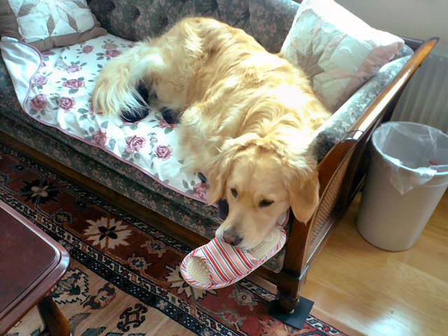 ���ꂵ���̃X���b�p��D��