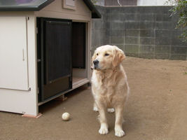 �{�[�����O�����I