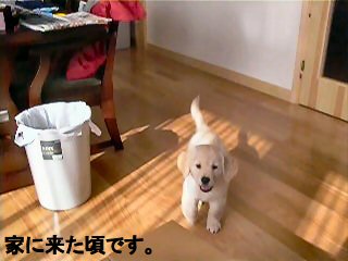 �S�~���Ɣ�r