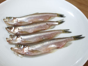 ���N�̃V�V����