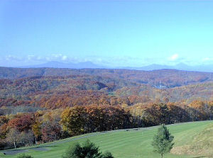 �g�t����