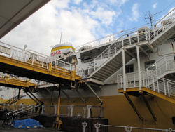 �D�̎���ɂ͒ނ�l��