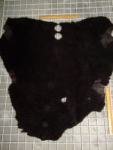 ���U�[�͂���