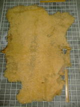 ���U�[�͂���