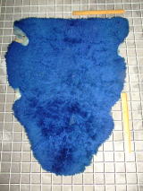 ���U�[�͂���