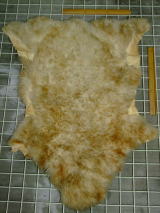 ���U�[�͂���