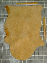 ���U�[�͂���