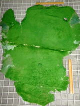 ���U�[�͂���