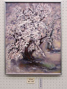 �u���J�v��t�V���� ���� 50F