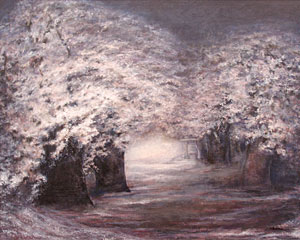 �z�쏉���u�W���v100F ����