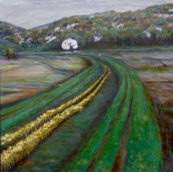 �u�U���v60S ����