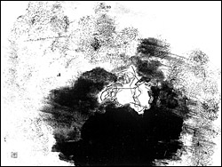 ��ˌ���u�V�Ă�vF50 ���n��