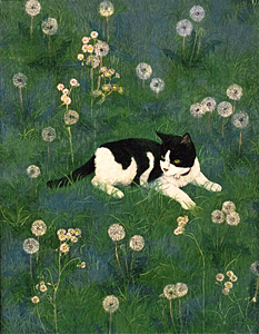 �c�Ӗ퐶�u�z�t�v40F ���{��