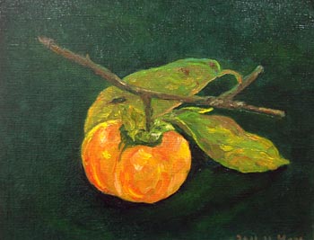 �J�����~�G 2011.11����i