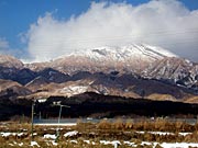 �V�N�Q���̈��h�A�R