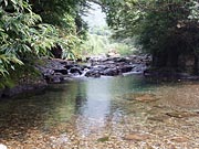 ���(�J�~�m)�̐�(2)