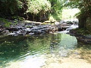 ���(�J�~�m)�̐�(3)