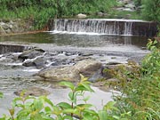 ���(�J�~�m)�̐�(1)