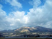 �V�N�̈��h�A��