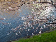 ��ʂɉf���