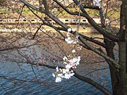 �[�z�𗁂тĐ�������𑖂鑍����