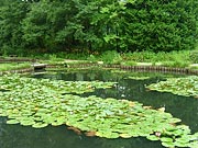 �쑺�L�O���p�فF���@�̒r