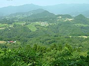 �������u����̉��i