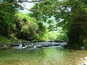 ��N�Ԃ�̏��̐�