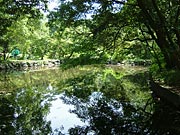 �{��_�{�����̒r