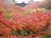 ���s�̍g�t