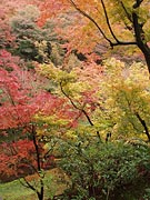 ���s�̍g�t