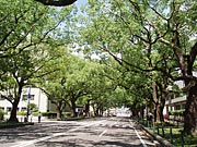 �{�茧������