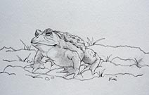 �u���N�ƃK�}�^�v�|���a�Ƃ�������ɐ����ā|�}�G