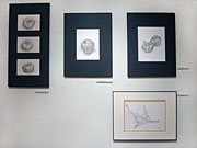 第19回甲斐清子ドローイング展