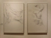 �b�㐴�q�f�b�T�������W ��33��